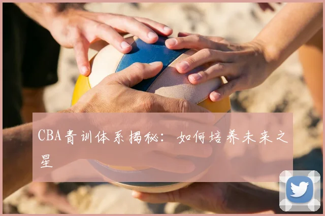 CBA青训体系揭秘:如何培养未来之星